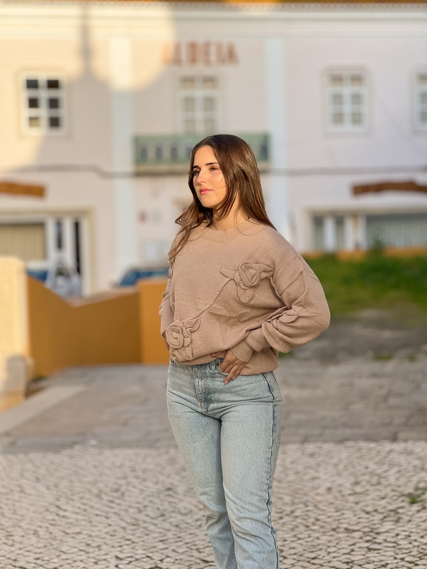 Camisola Malha rosas em relevo bege